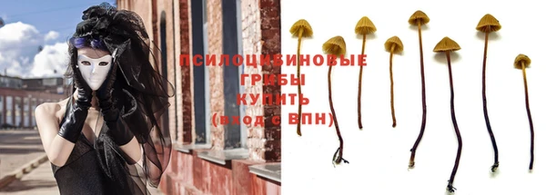 амф Козельск