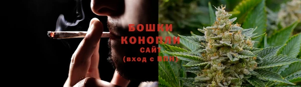 амф Козельск