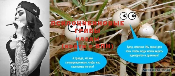 амф Козельск