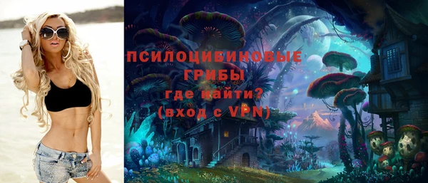 а пвп мука Козловка