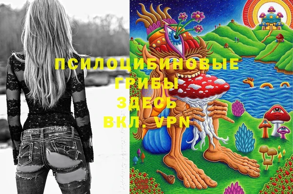 а пвп мука Козловка